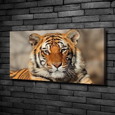 Tableau sur toile Tigre du Bengale