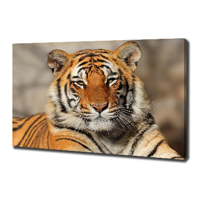 Tableau sur toile Tigre du Bengale