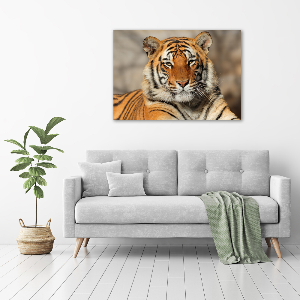 Tableau sur toile Tigre du Bengale