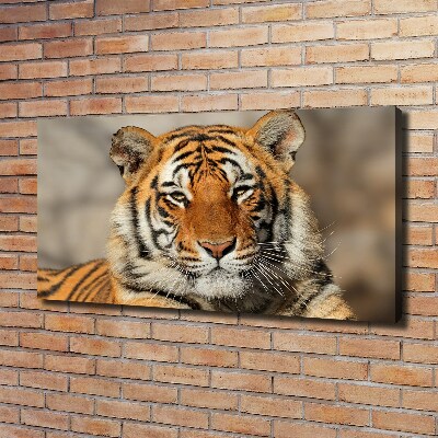 Tableau sur toile Tigre du Bengale