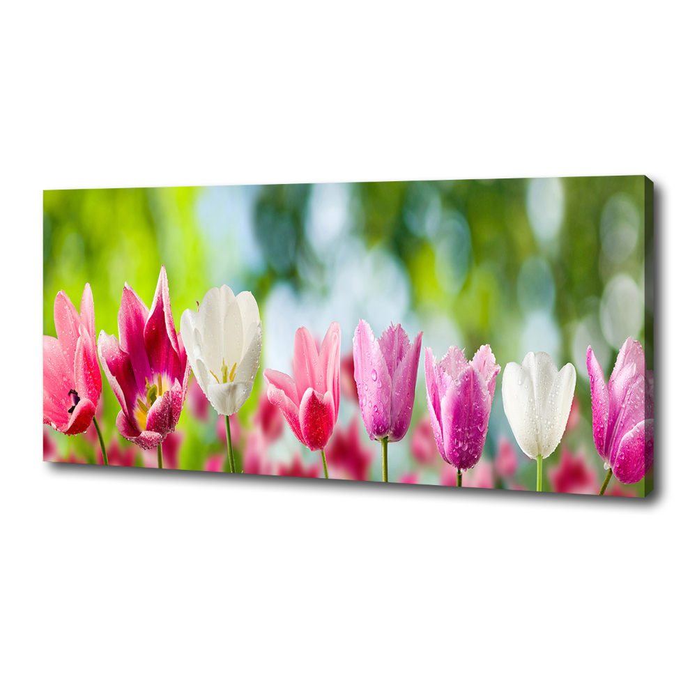 Tableau sur toile Tulipes