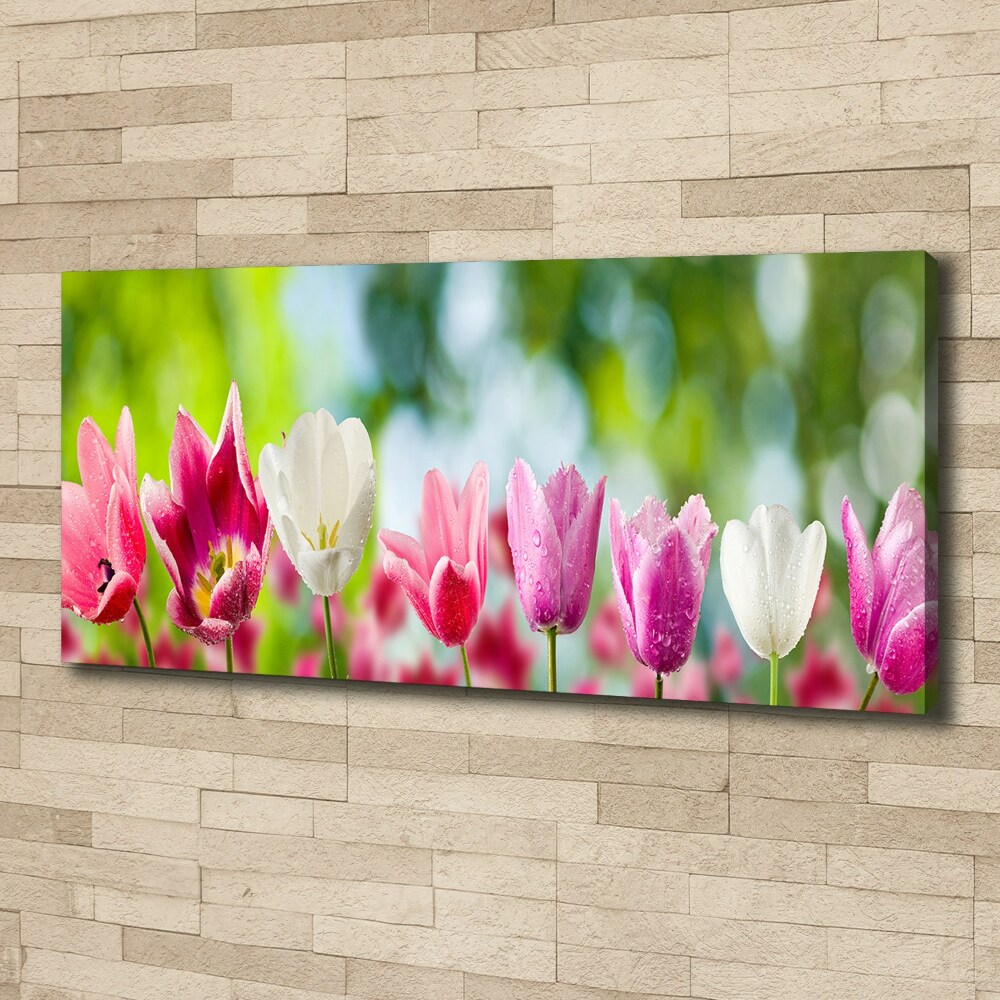 Tableau sur toile Tulipes