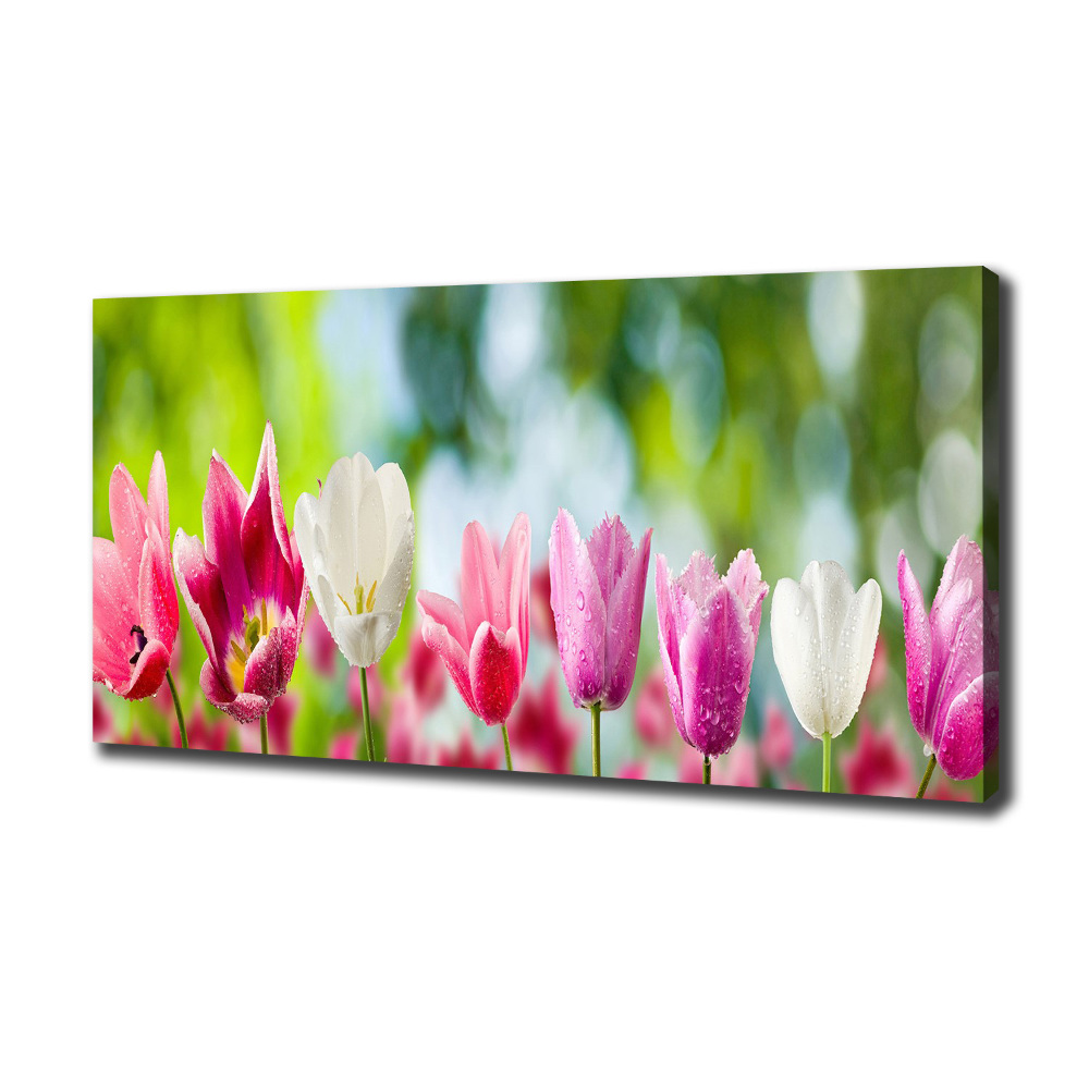 Tableau sur toile Tulipes