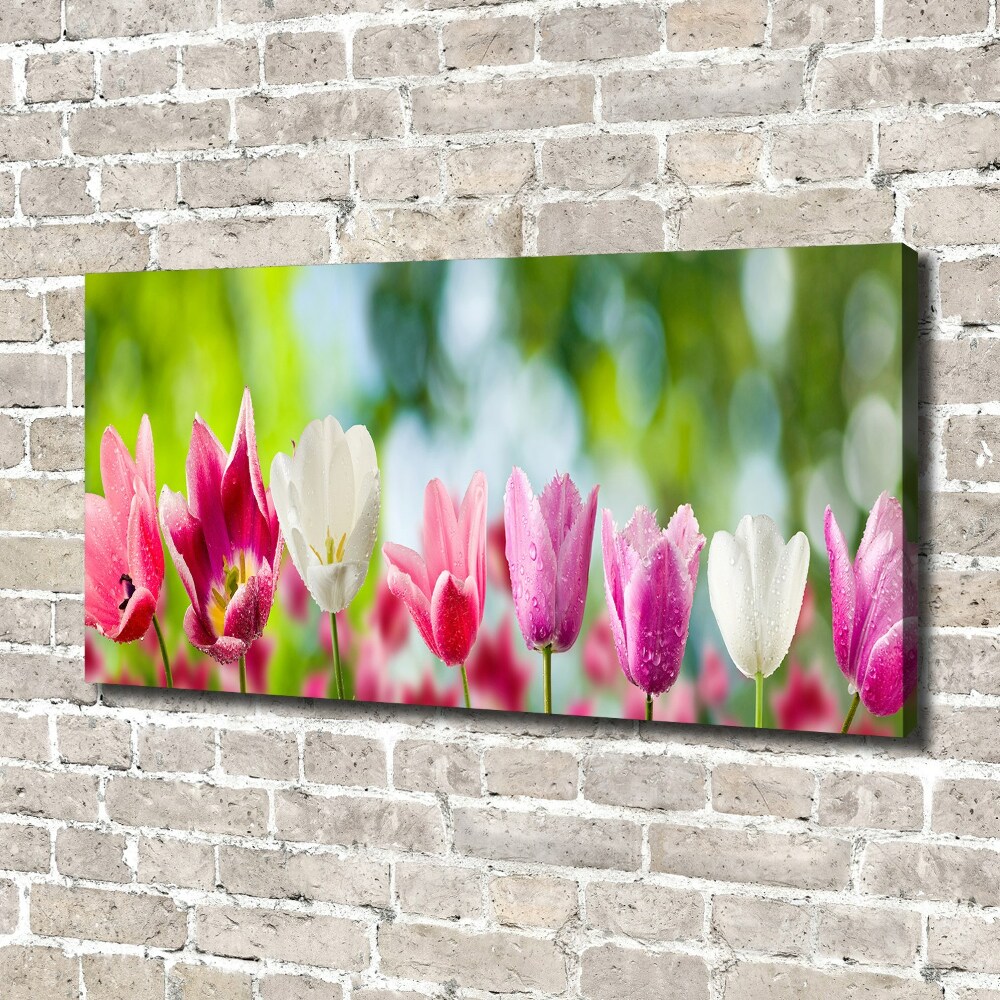 Tableau sur toile Tulipes