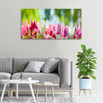 Tableau sur toile Tulipes