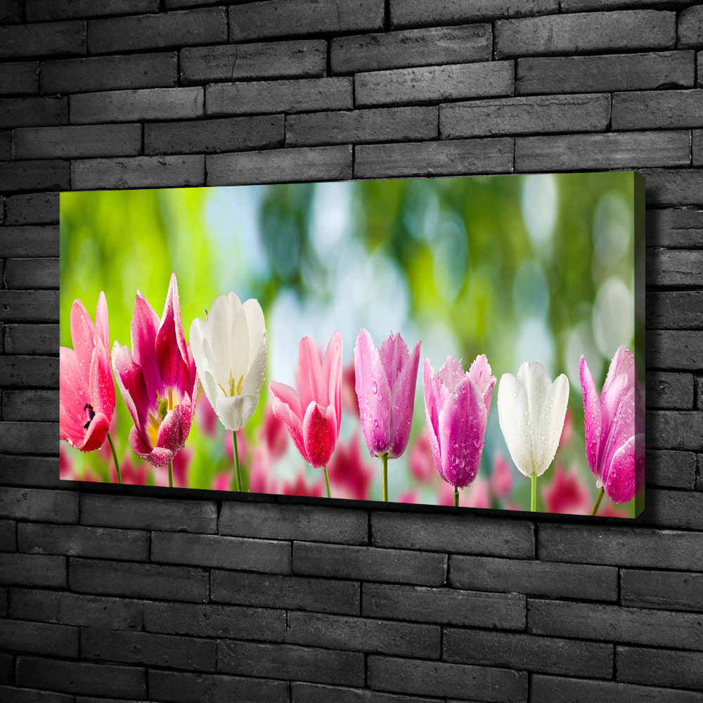 Tableau sur toile Tulipes