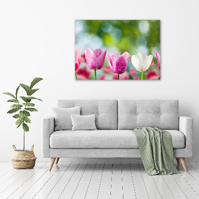 Tableau sur toile Tulipes