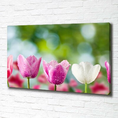 Tableau sur toile Tulipes