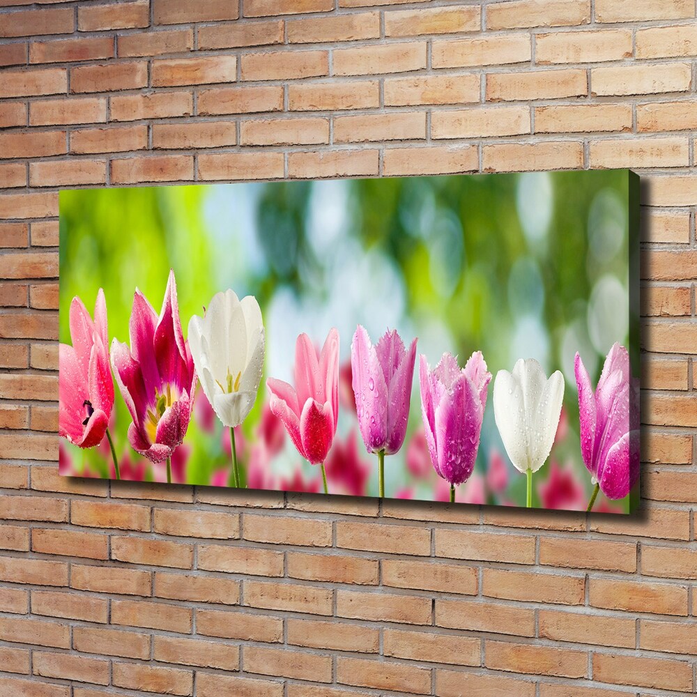 Tableau sur toile Tulipes