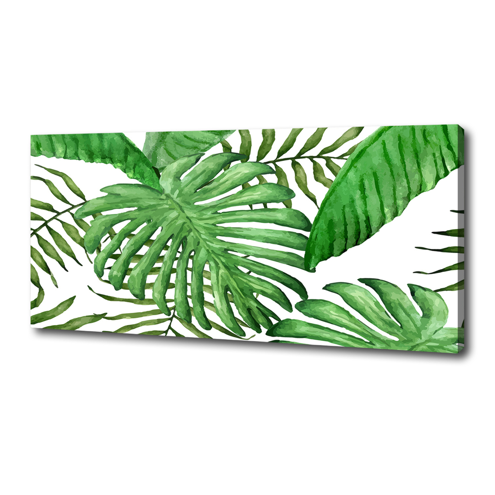 Tableau sur toile Feuilles tropicales vertes