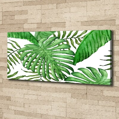 Tableau sur toile Feuilles tropicales vertes