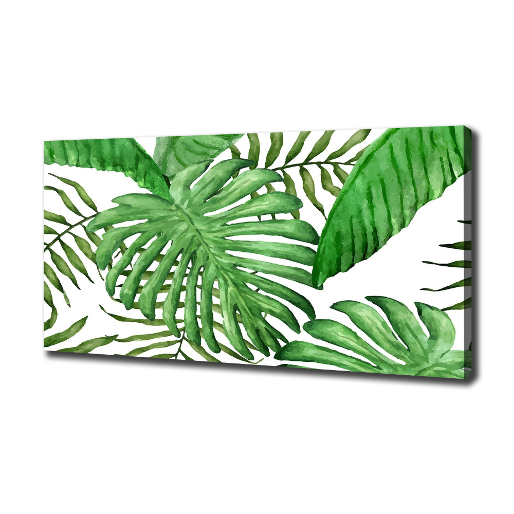 Tableau sur toile Feuilles tropicales vertes