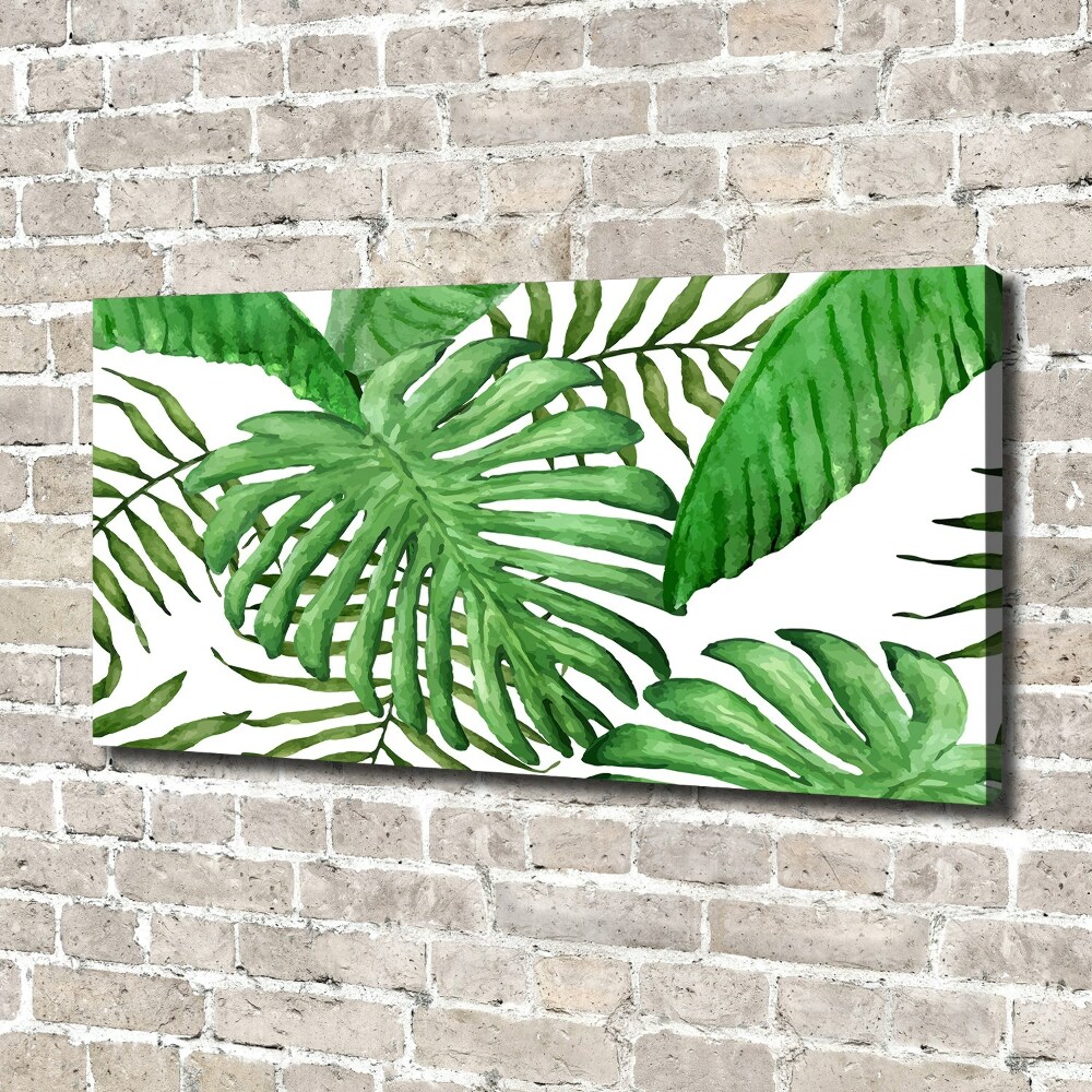 Tableau sur toile Feuilles tropicales vertes