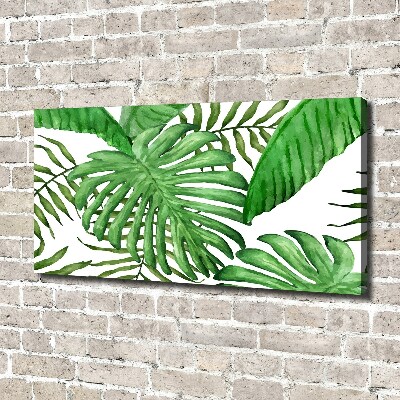 Tableau sur toile Feuilles tropicales vertes