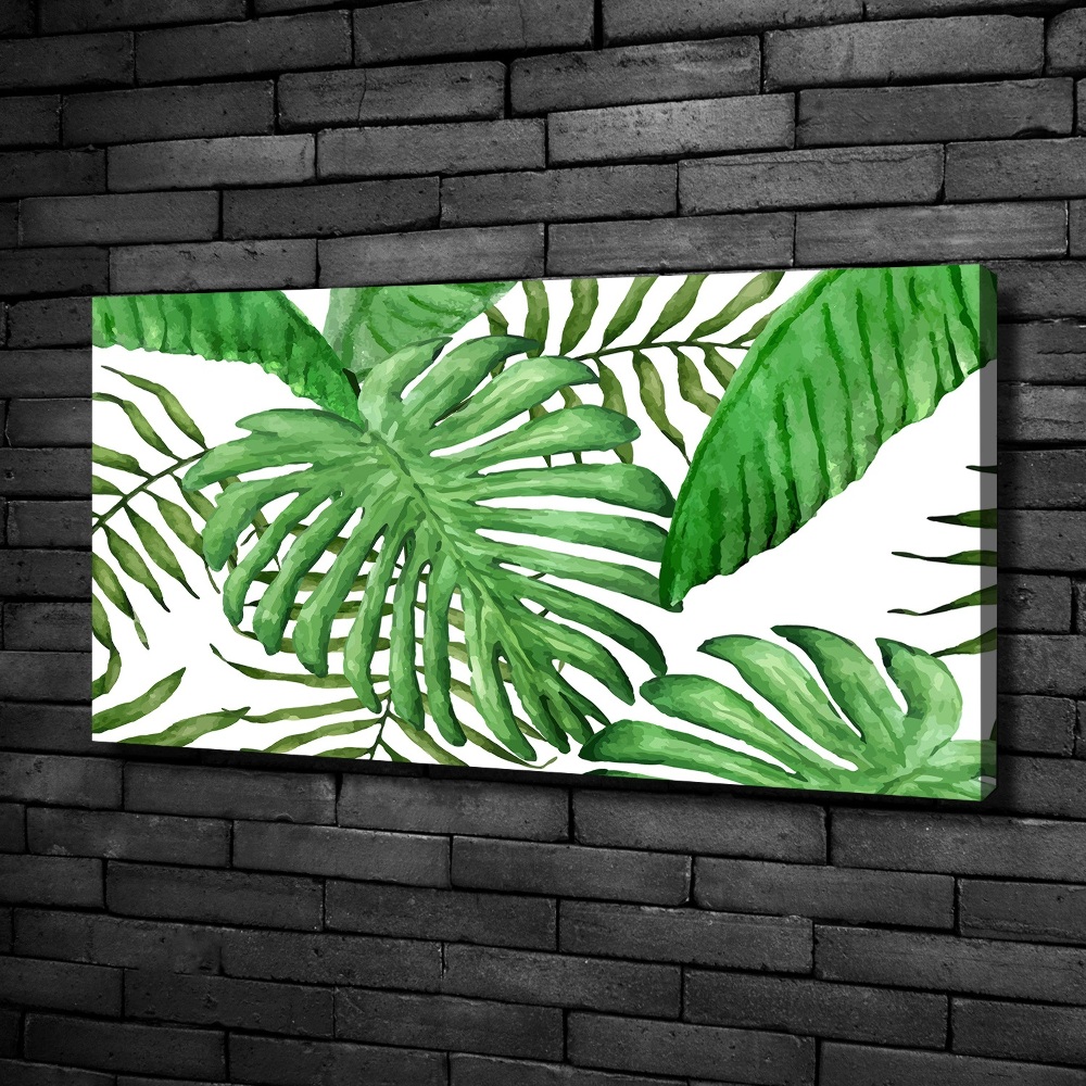 Tableau sur toile Feuilles tropicales vertes