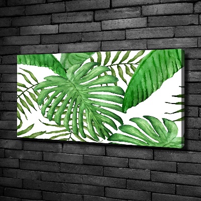 Tableau sur toile Feuilles tropicales vertes