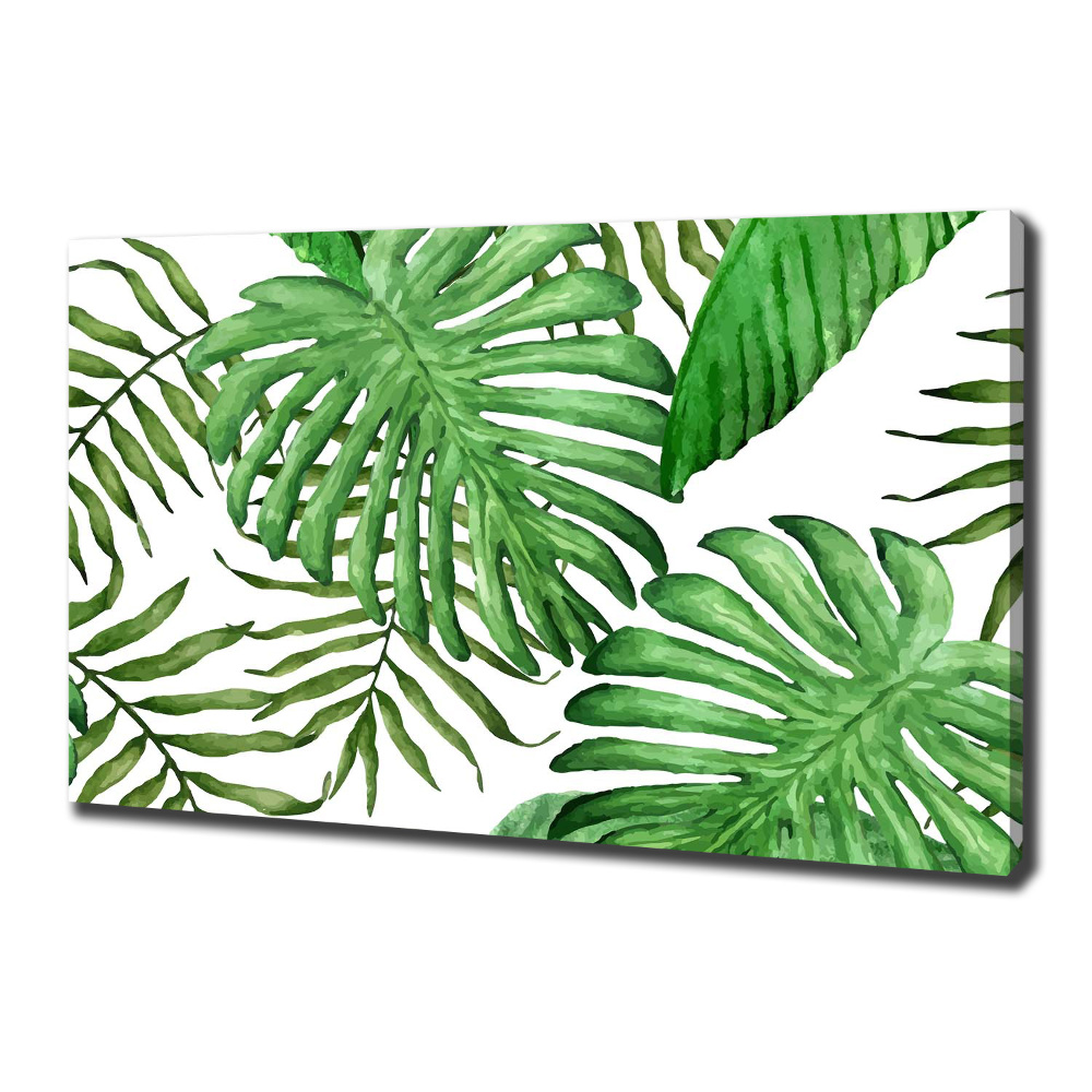 Tableau sur toile Feuilles tropicales vertes