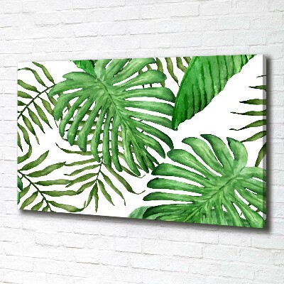 Tableau sur toile Feuilles tropicales vertes