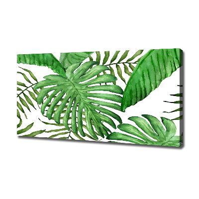 Tableau sur toile Feuilles tropicales vertes