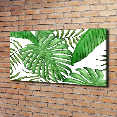 Tableau sur toile Feuilles tropicales vertes