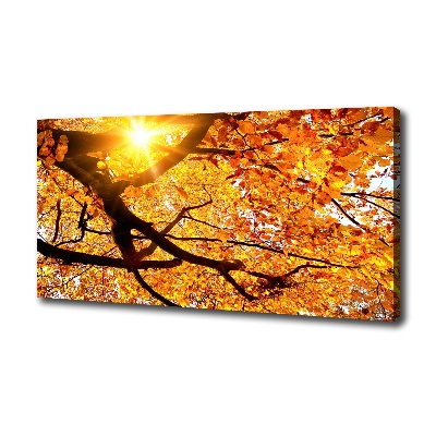 Tableau mural sur toile Couronne d'arbres en automne