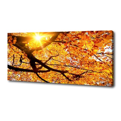 Tableau mural sur toile Couronne d'arbres en automne