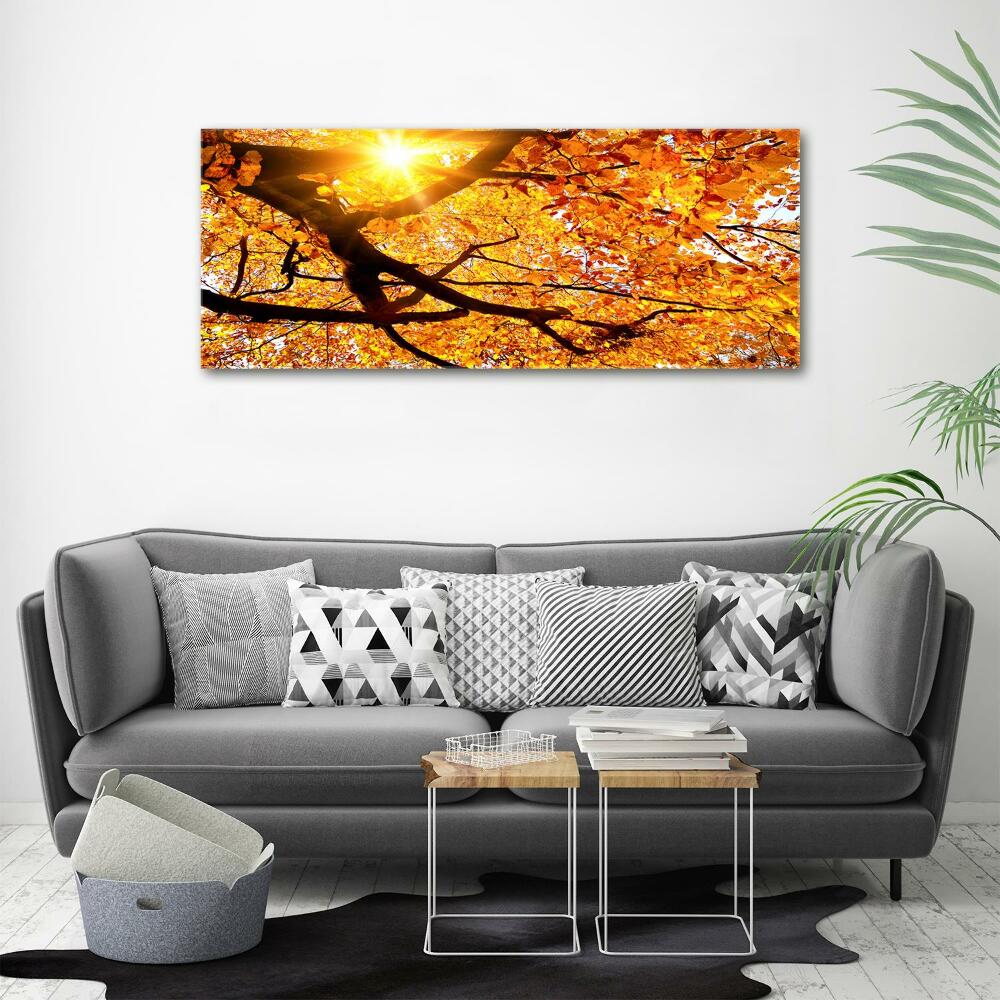 Tableau mural sur toile Couronne d'arbres en automne