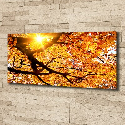 Tableau mural sur toile Couronne d'arbres en automne