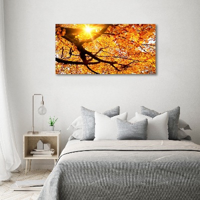 Tableau mural sur toile Couronne d'arbres en automne