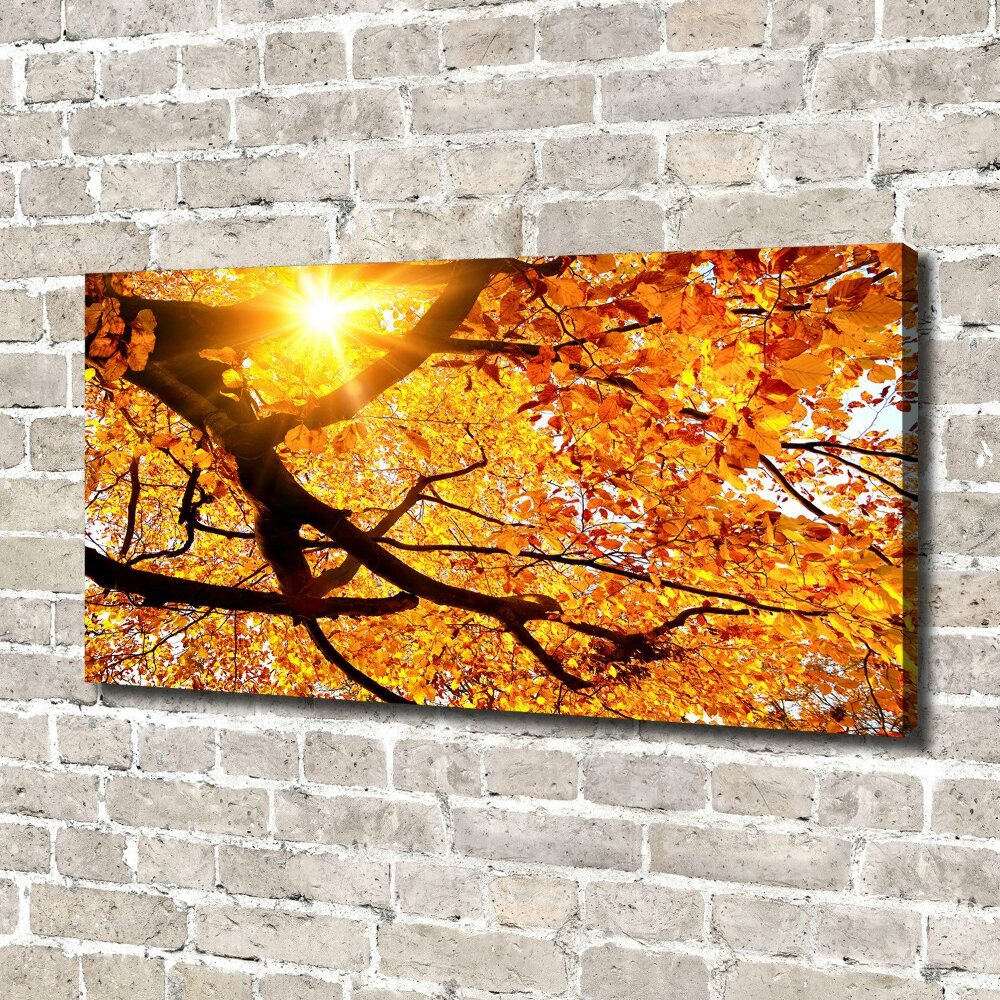 Tableau mural sur toile Couronne d'arbres en automne