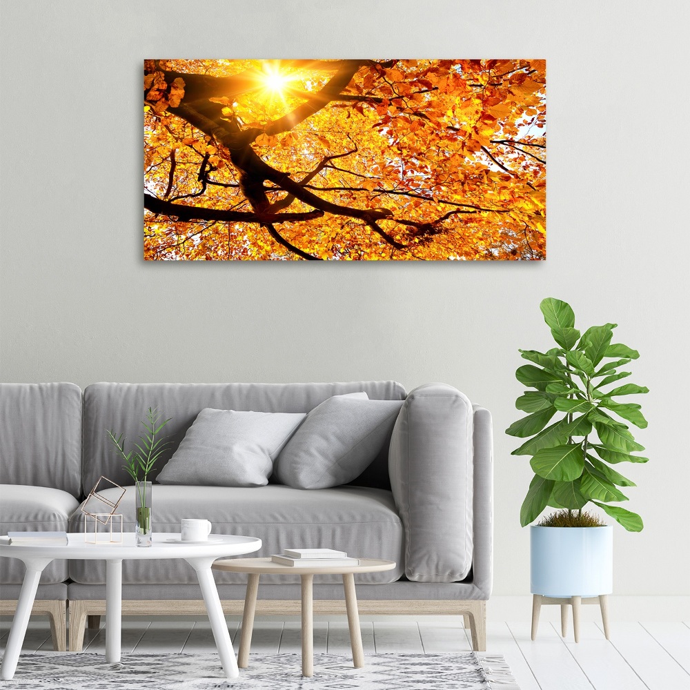 Tableau mural sur toile Couronne d'arbres en automne