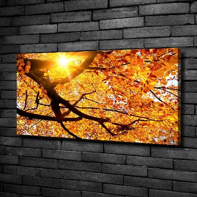 Tableau mural sur toile Couronne d'arbres en automne