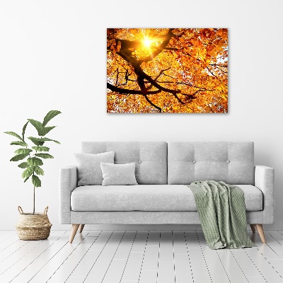 Tableau mural sur toile Couronne d'arbres en automne