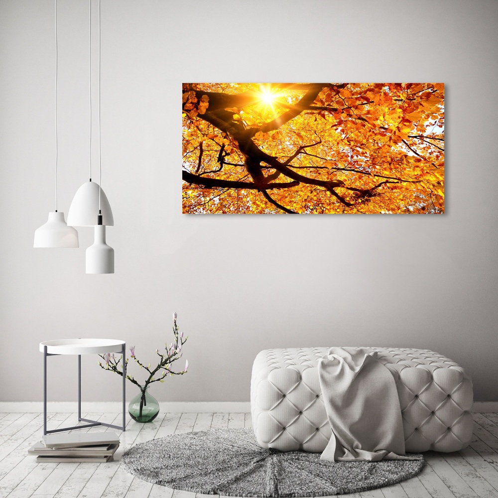 Tableau mural sur toile Couronne d'arbres en automne