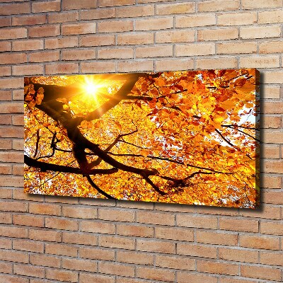 Tableau mural sur toile Couronne d'arbres en automne