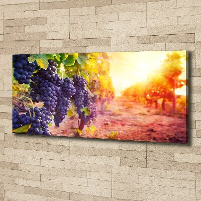 Tableau mural sur toile Vignes