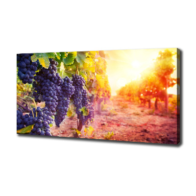 Tableau mural sur toile Vignes