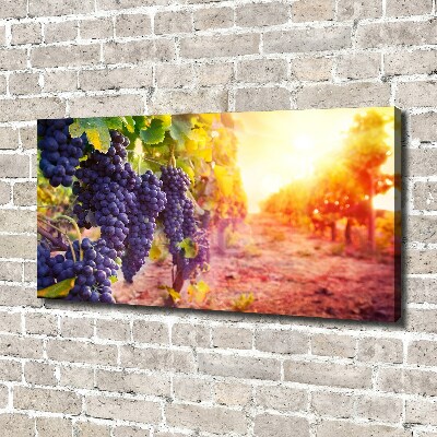 Tableau mural sur toile Vignes