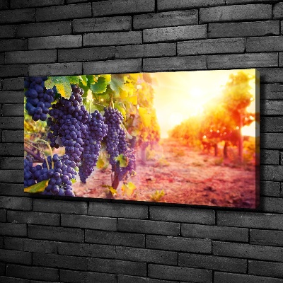 Tableau mural sur toile Vignes