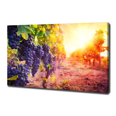 Tableau mural sur toile Vignes