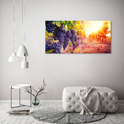 Tableau mural sur toile Vignes