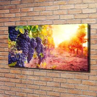 Tableau mural sur toile Vignes