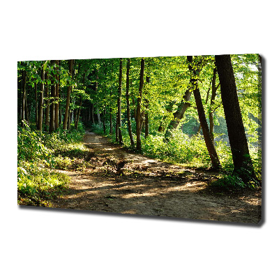 Tableau sur toile Chemin dans la prairie