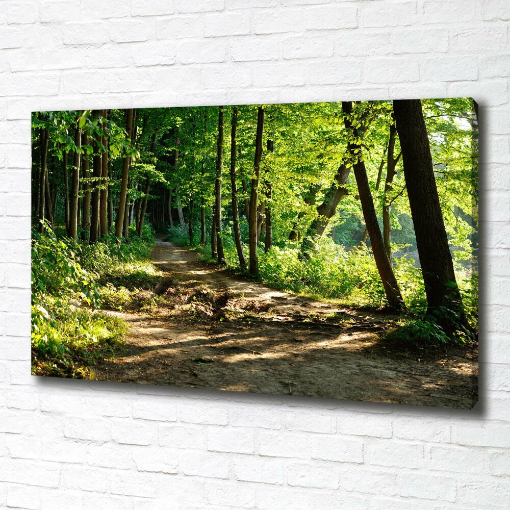 Tableau sur toile Chemin dans la prairie