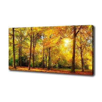 Tableau mural sur toile Forêt d'automne