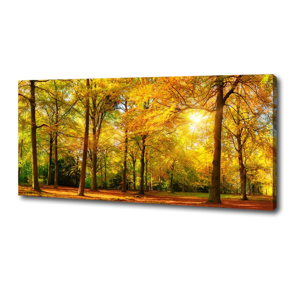 Tableau mural sur toile Forêt d'automne