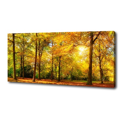 Tableau mural sur toile Forêt d'automne