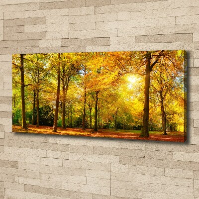 Tableau mural sur toile Forêt d'automne