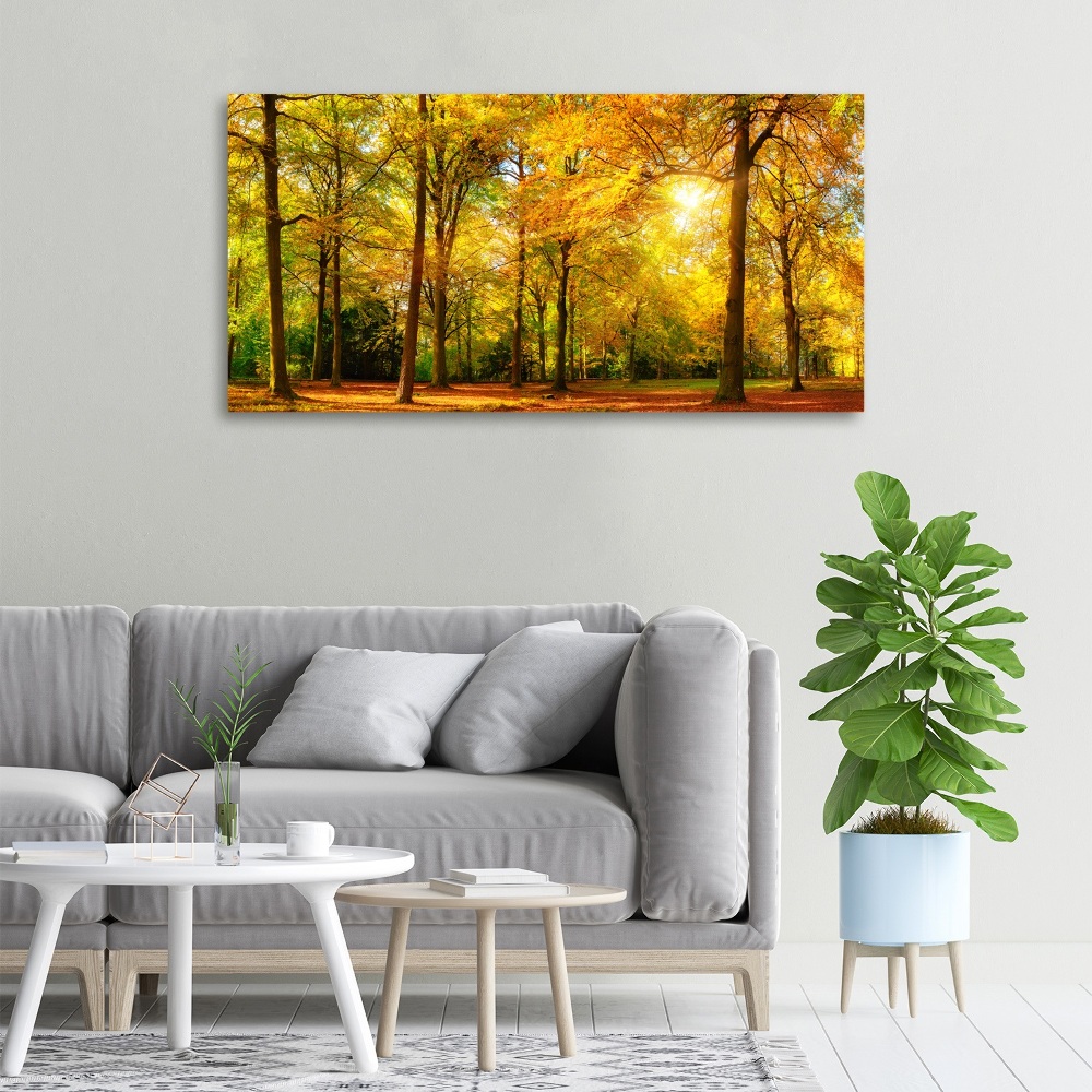 Tableau mural sur toile Forêt d'automne