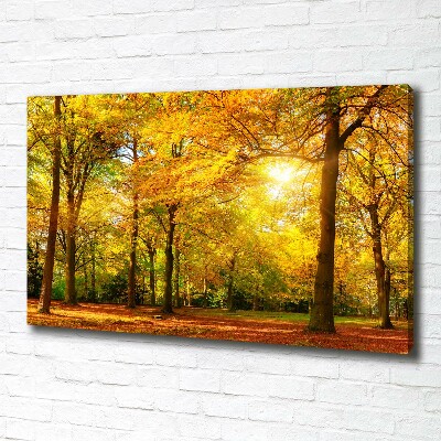 Tableau mural sur toile Forêt d'automne